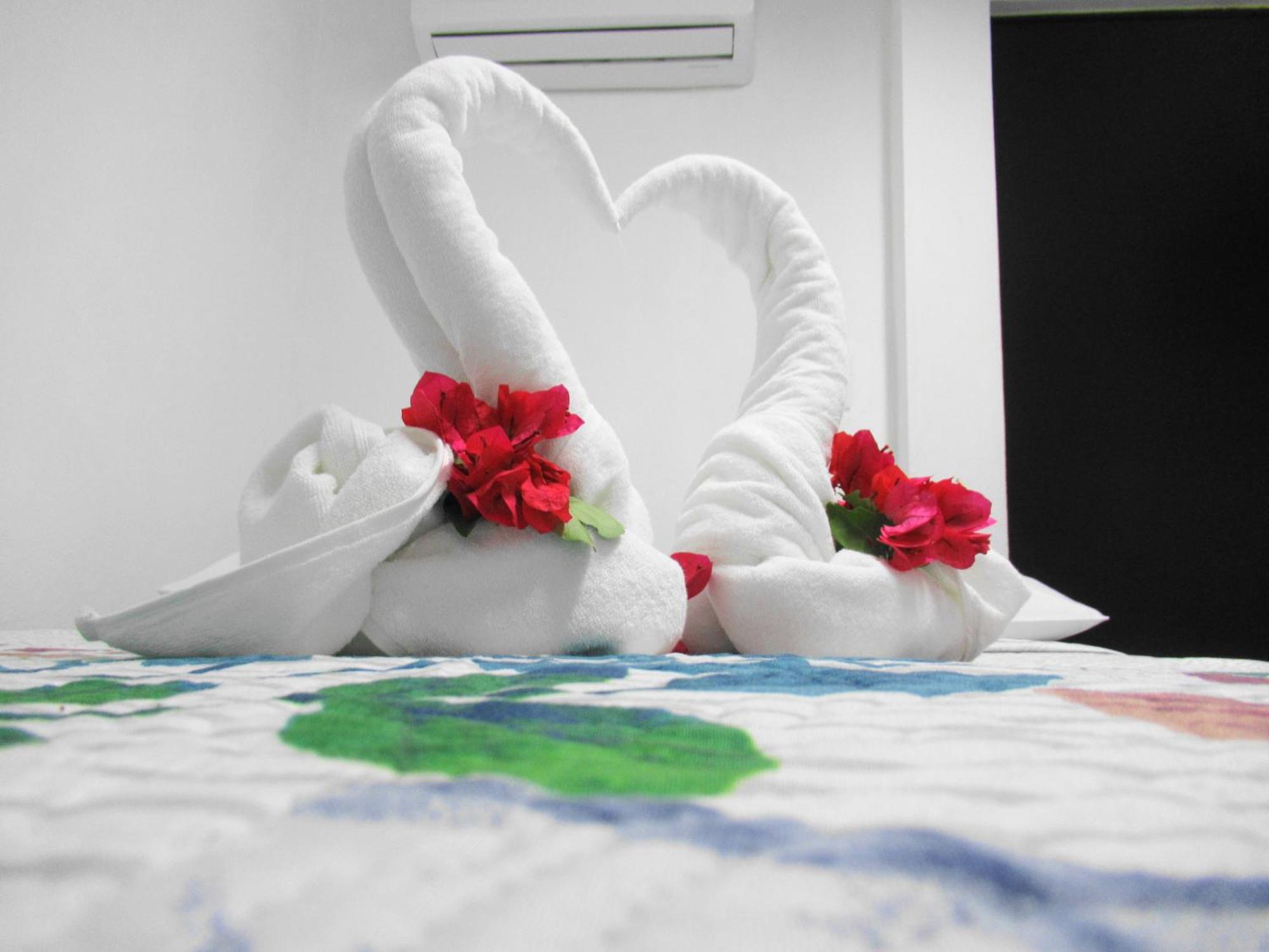Cocos Cancun